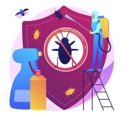 Top 23 cách diệt côn trùng tại nhà nhanh chóng