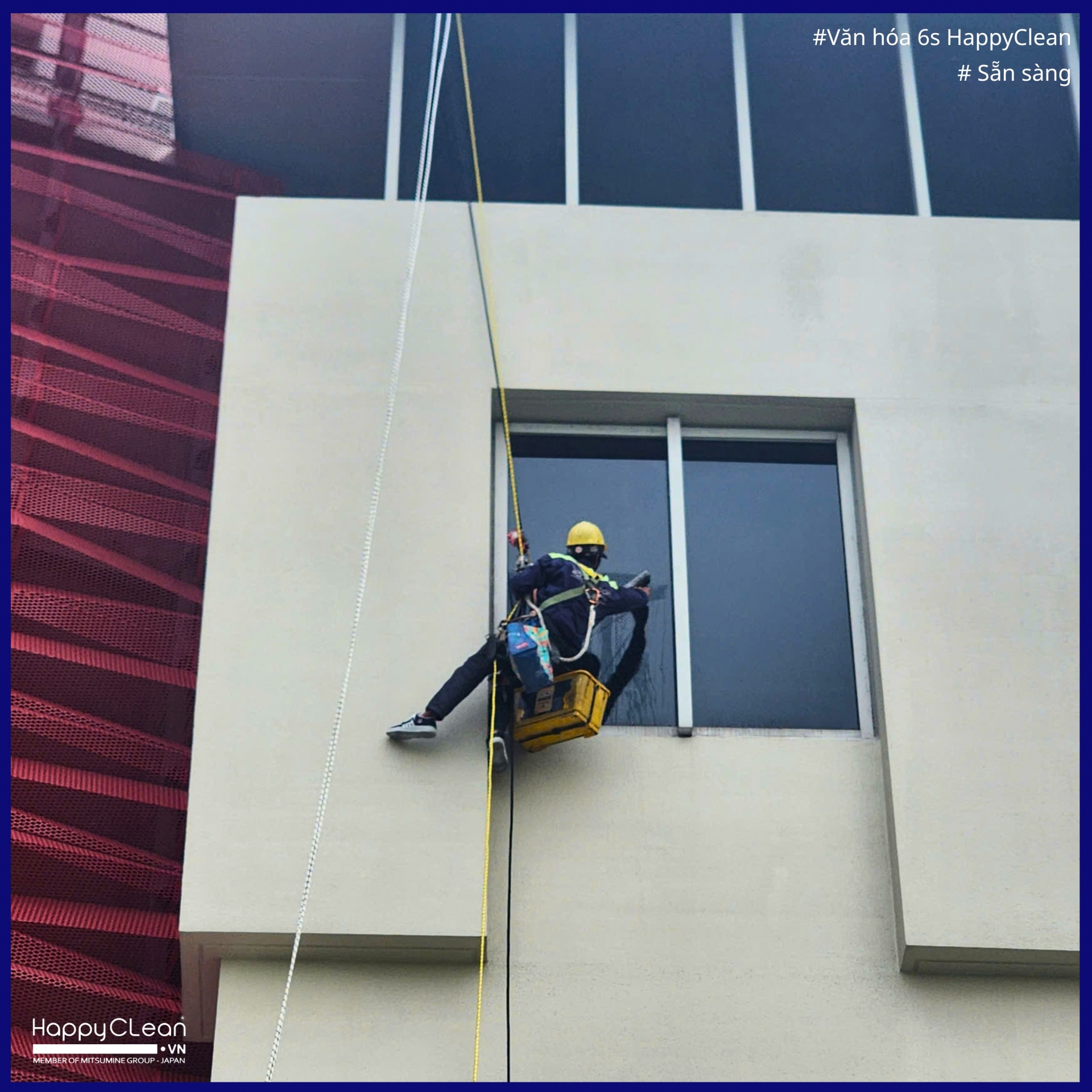 doi-ngu-duoc-dao-tao-bai-ban