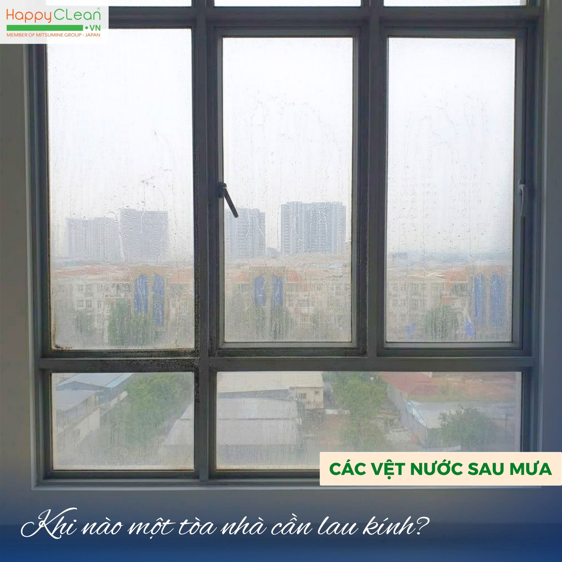 vet-nc-mua