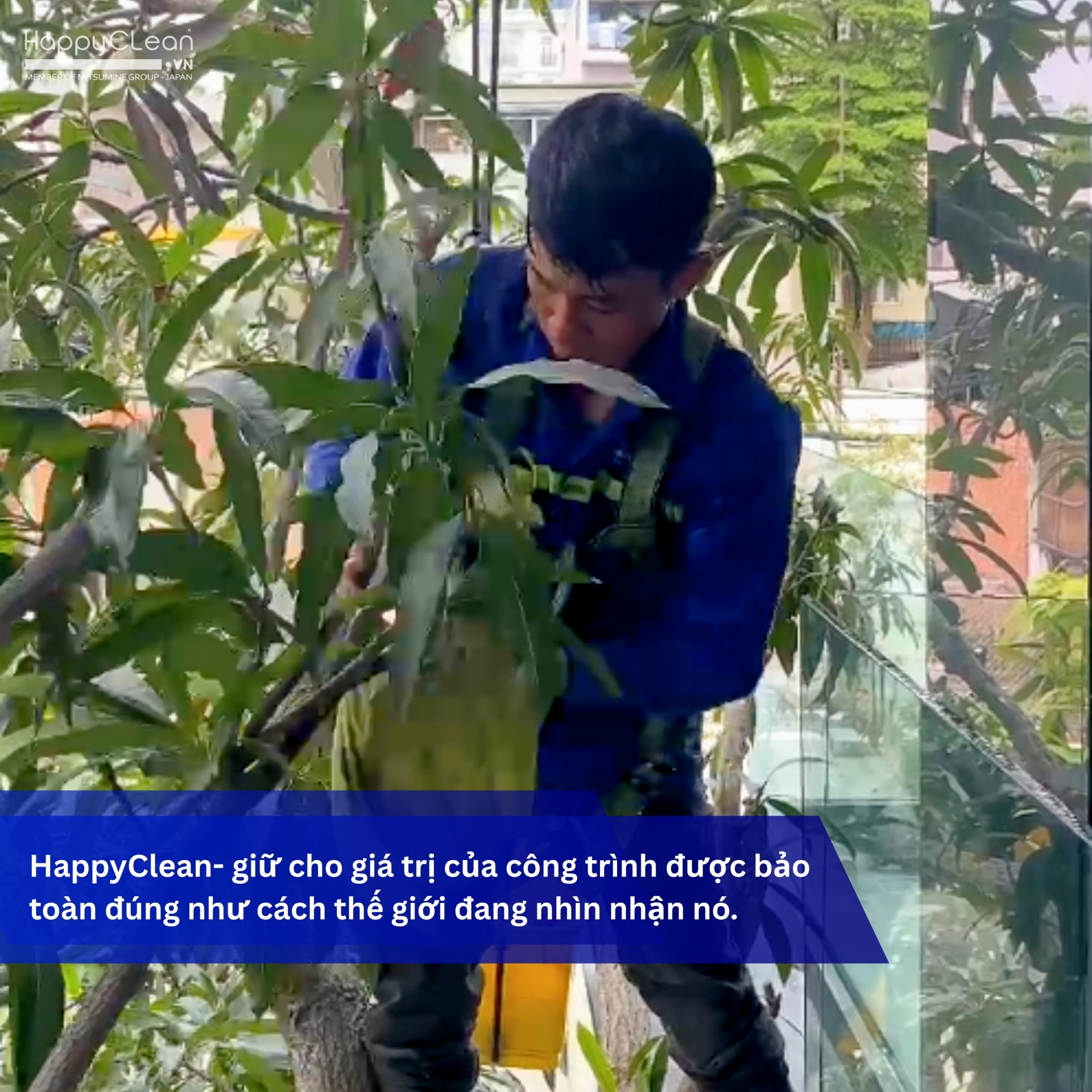 vi-sao-happyclean-duoc-mangohouse-lua-chon